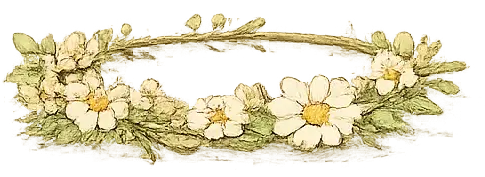 Floral crown with white flowers
