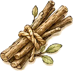 Bundle of twigs tied together