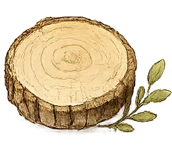 Wooden log slice with leaves