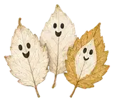 Leaf Ghosts