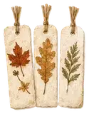 Pressed Autumn Leaf Bookmarks