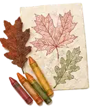 Leaf Rubbings