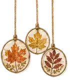 Autumn Leaf Sun Catchers
