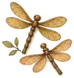 Maple-Seed Dragonflies